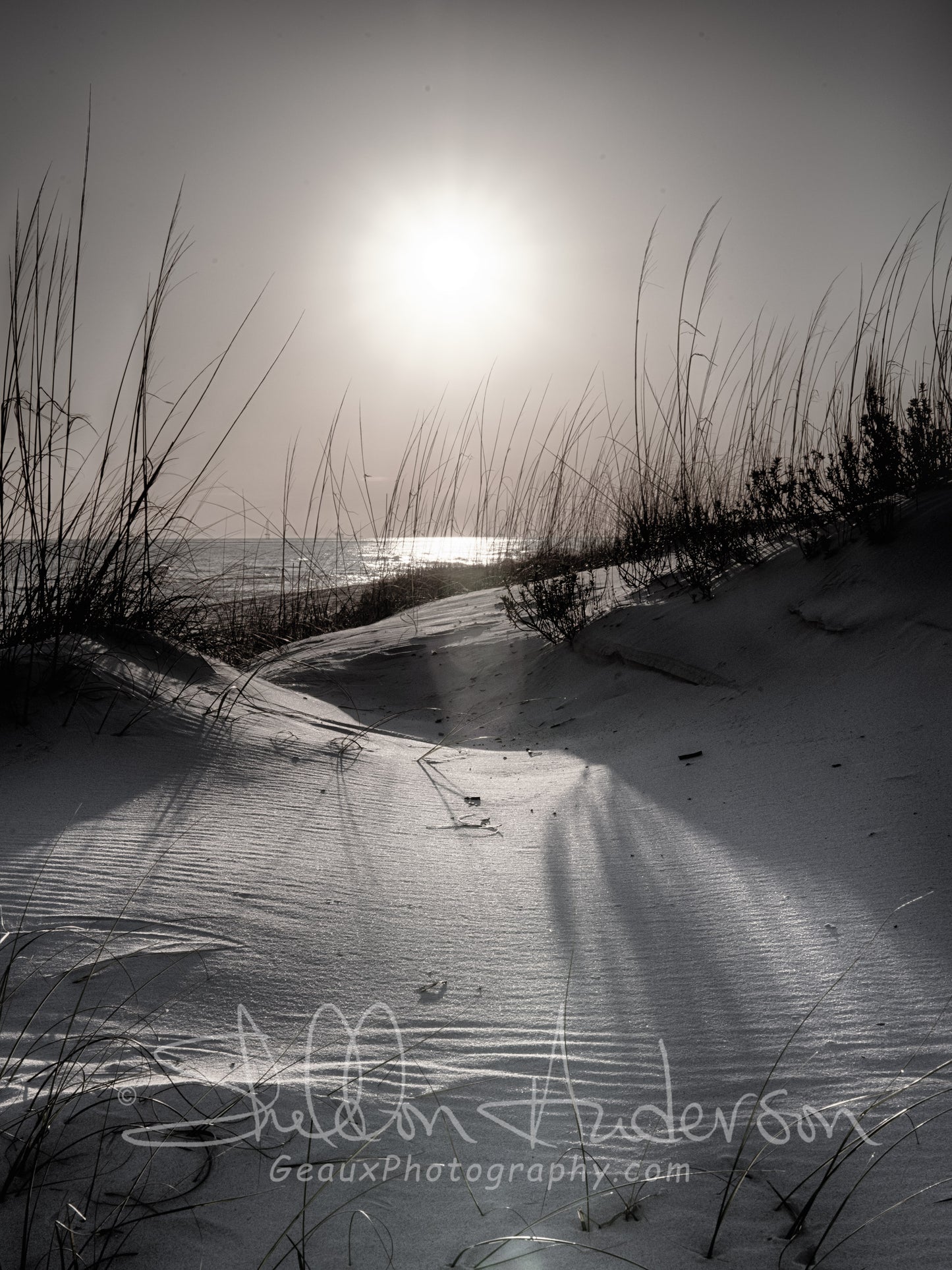 Dunes, 816-7566 BW