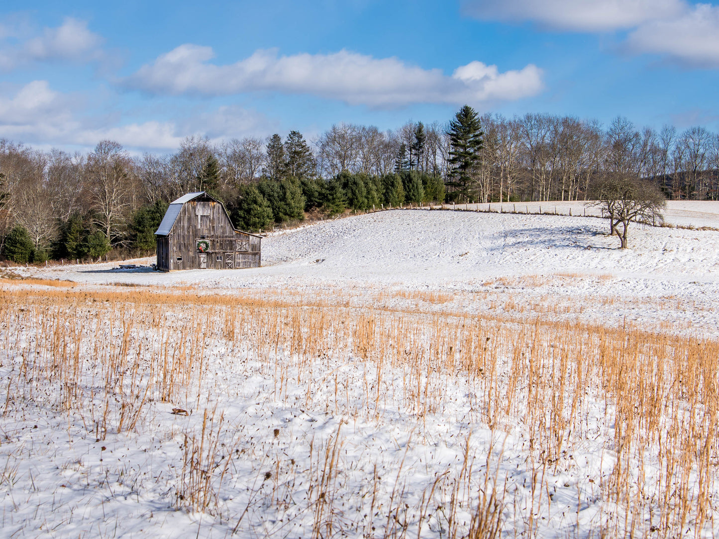 Old Barn, 817-0974