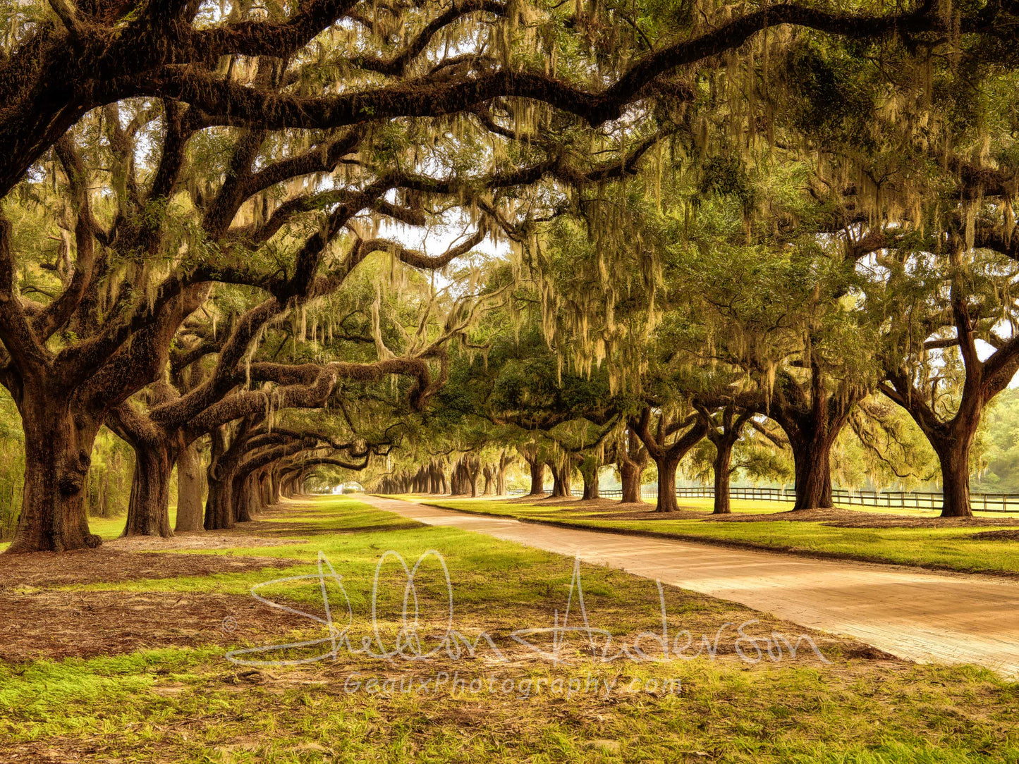 Boone Hall Plantation SC, 817-8045