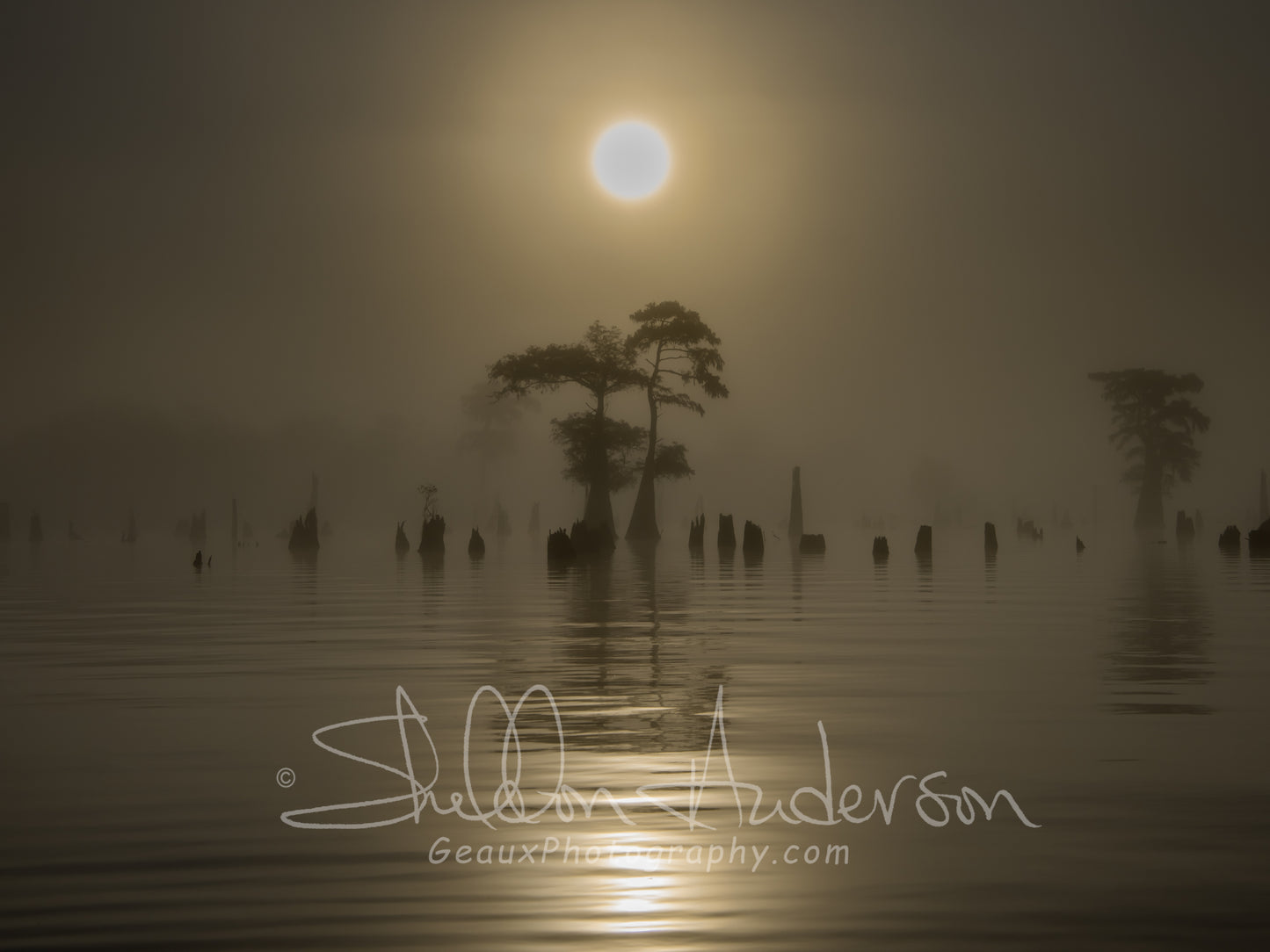 Henderson Swamp, 817-9510