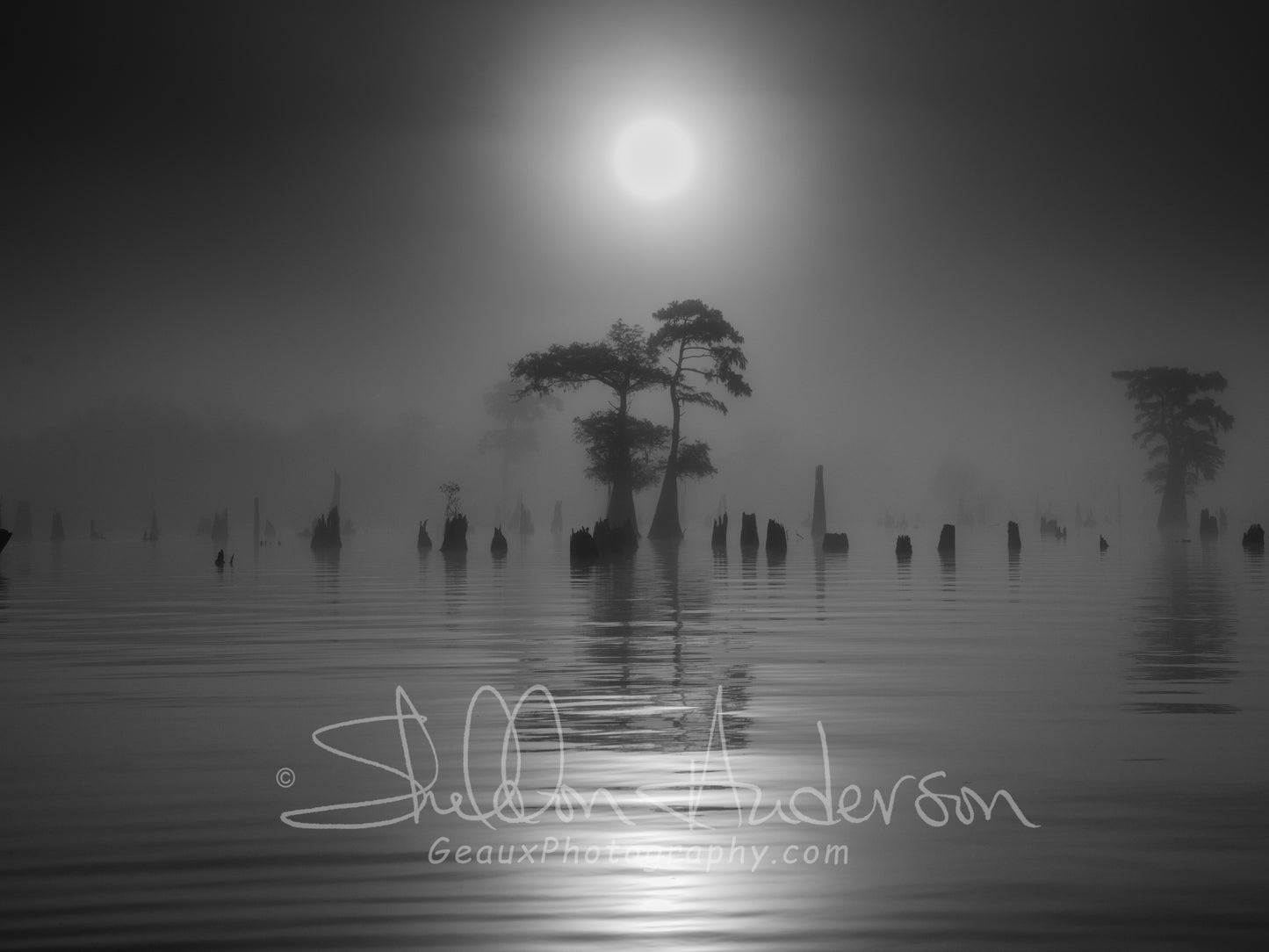 Henderson Swamp, 817-9510 BW
