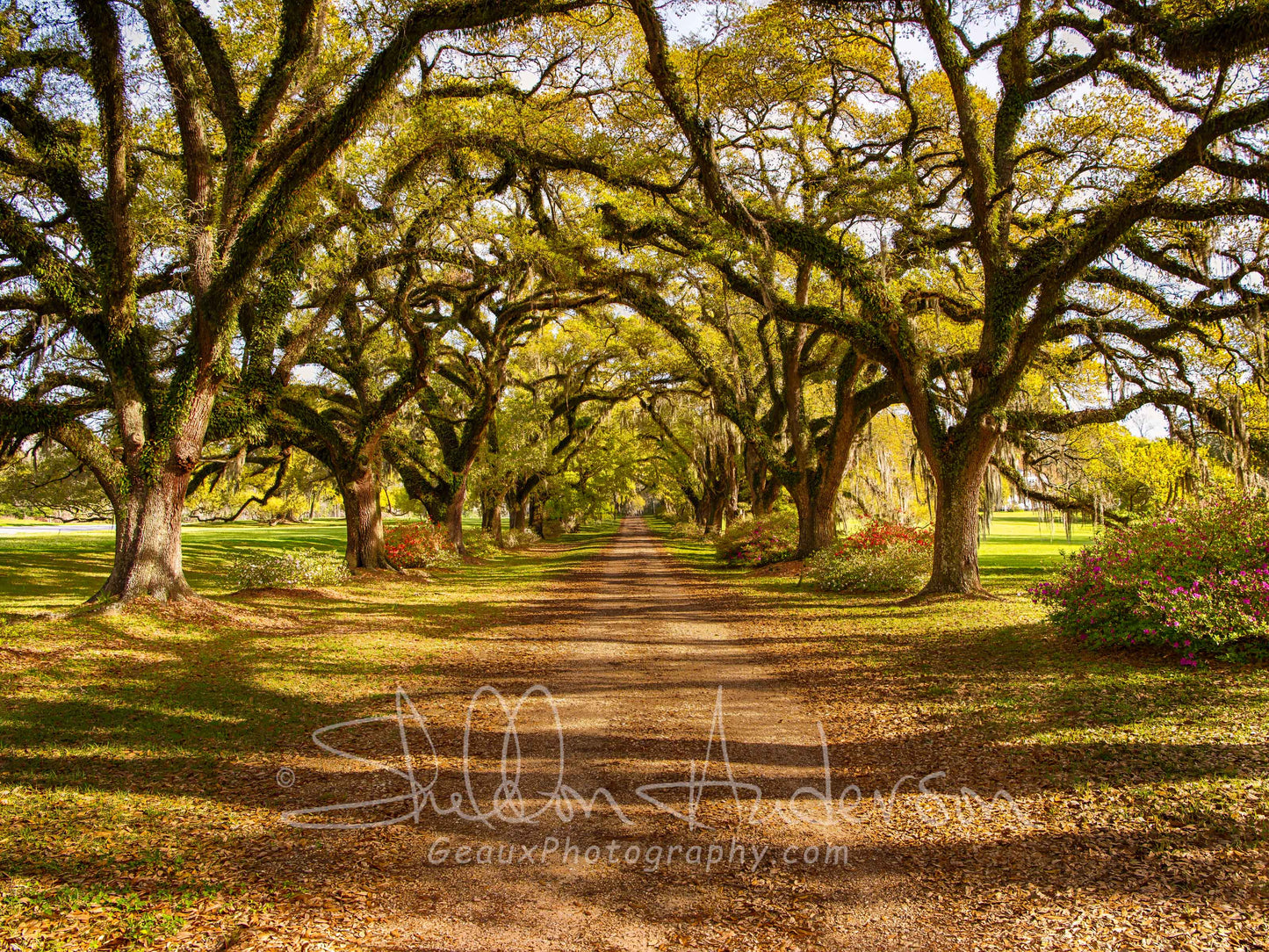 Live oak Plantation, 818-2300