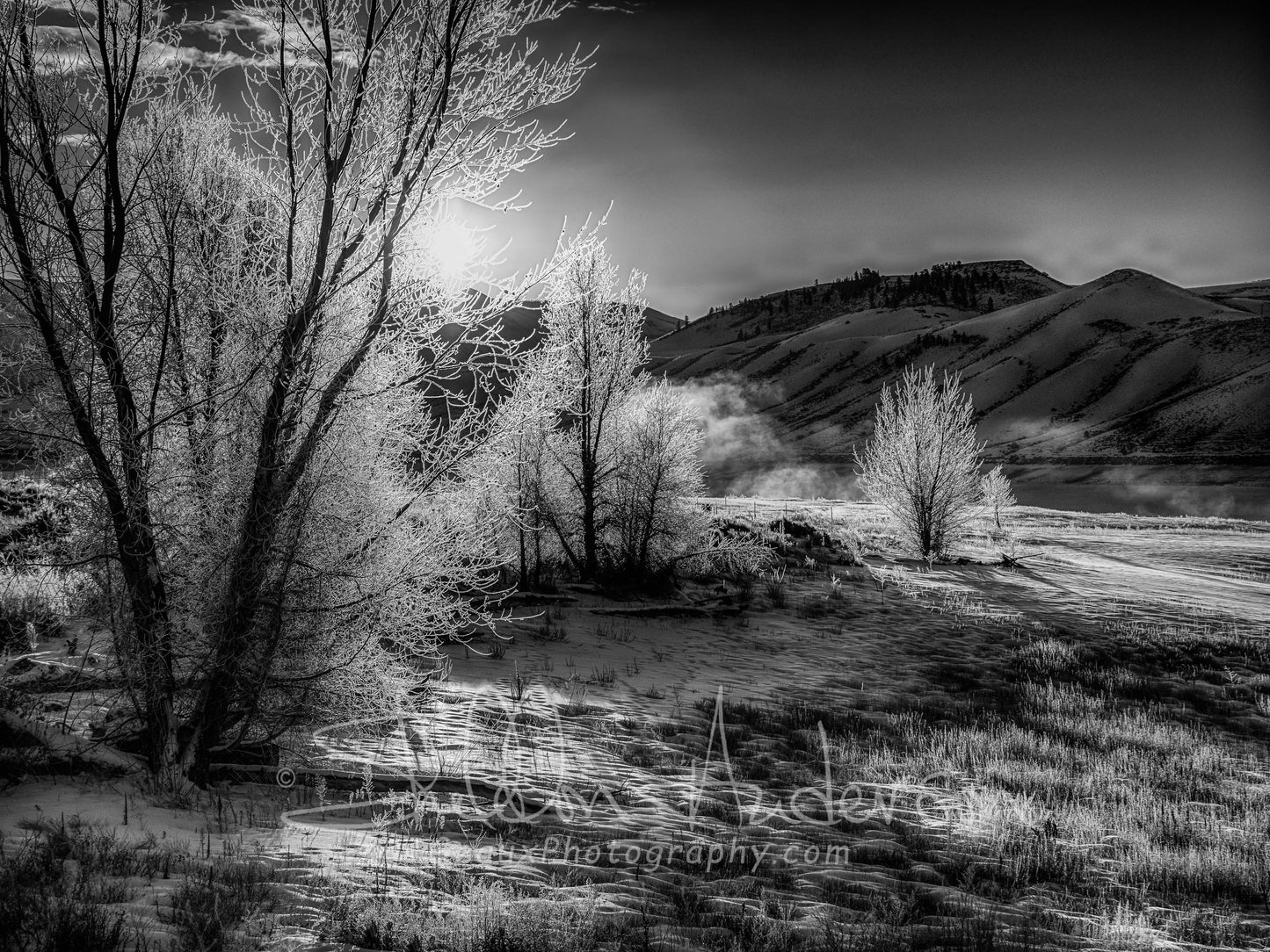 Frosty Morning, 818-8278 BW