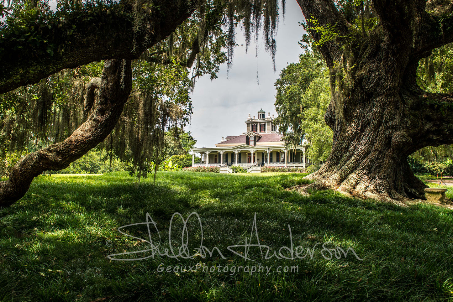 Joseph Jefferson Plantation, D80-0697