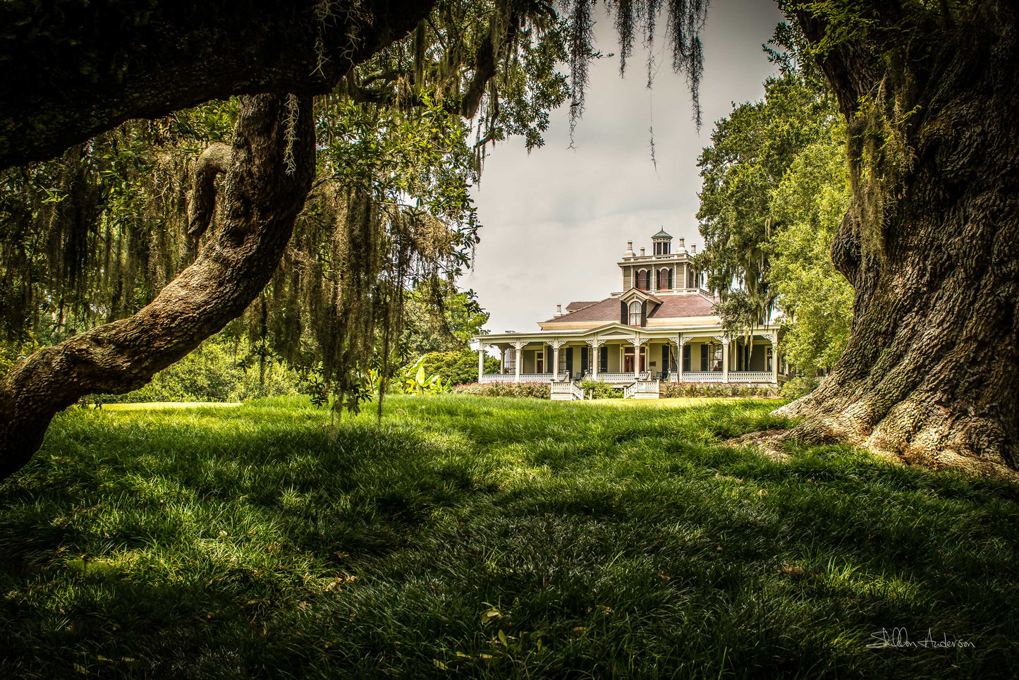 Joseph Jefferson Plantation, D80-0697