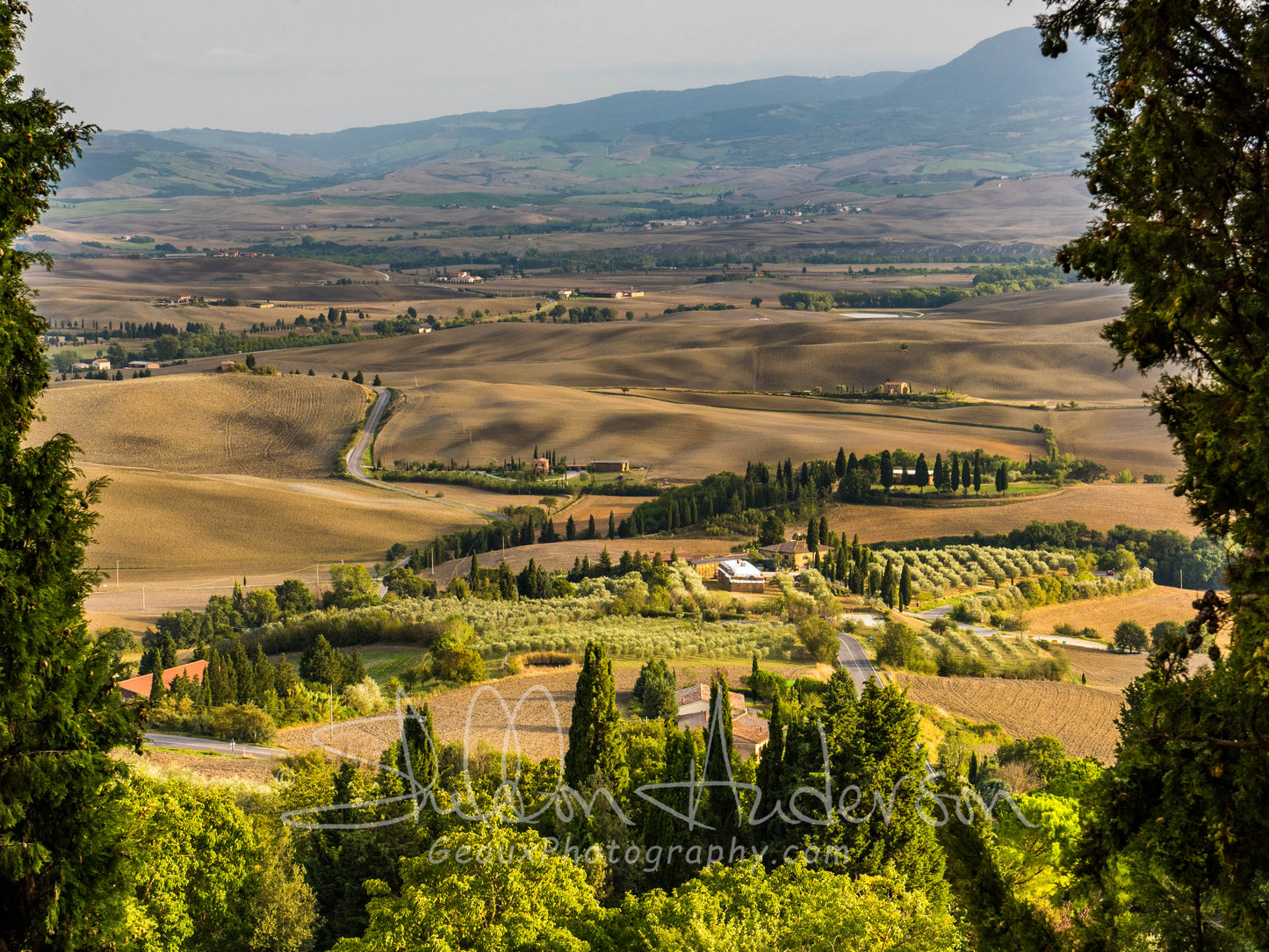 Tuscan Valley, D81-1664