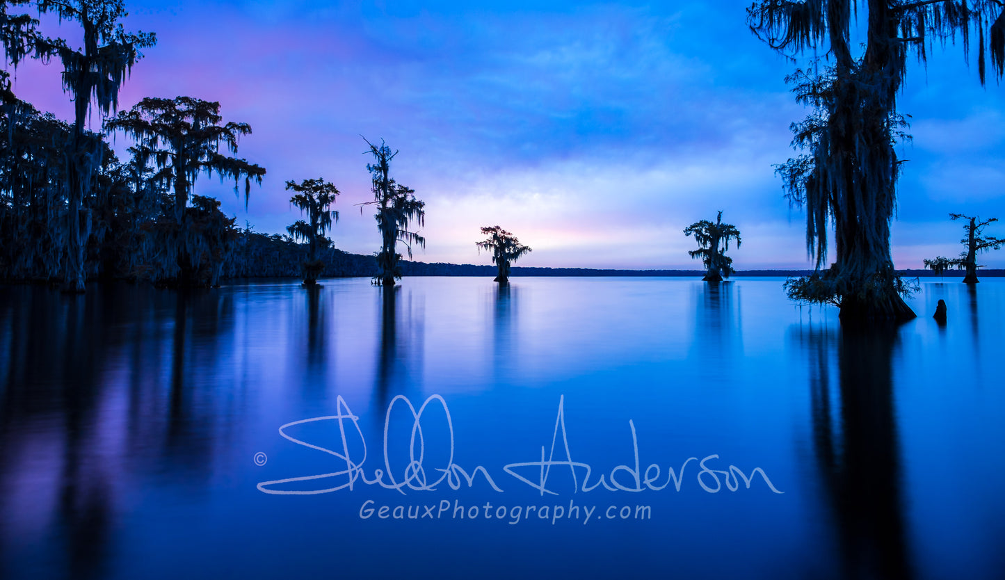 The Blue Hour, D81-8421