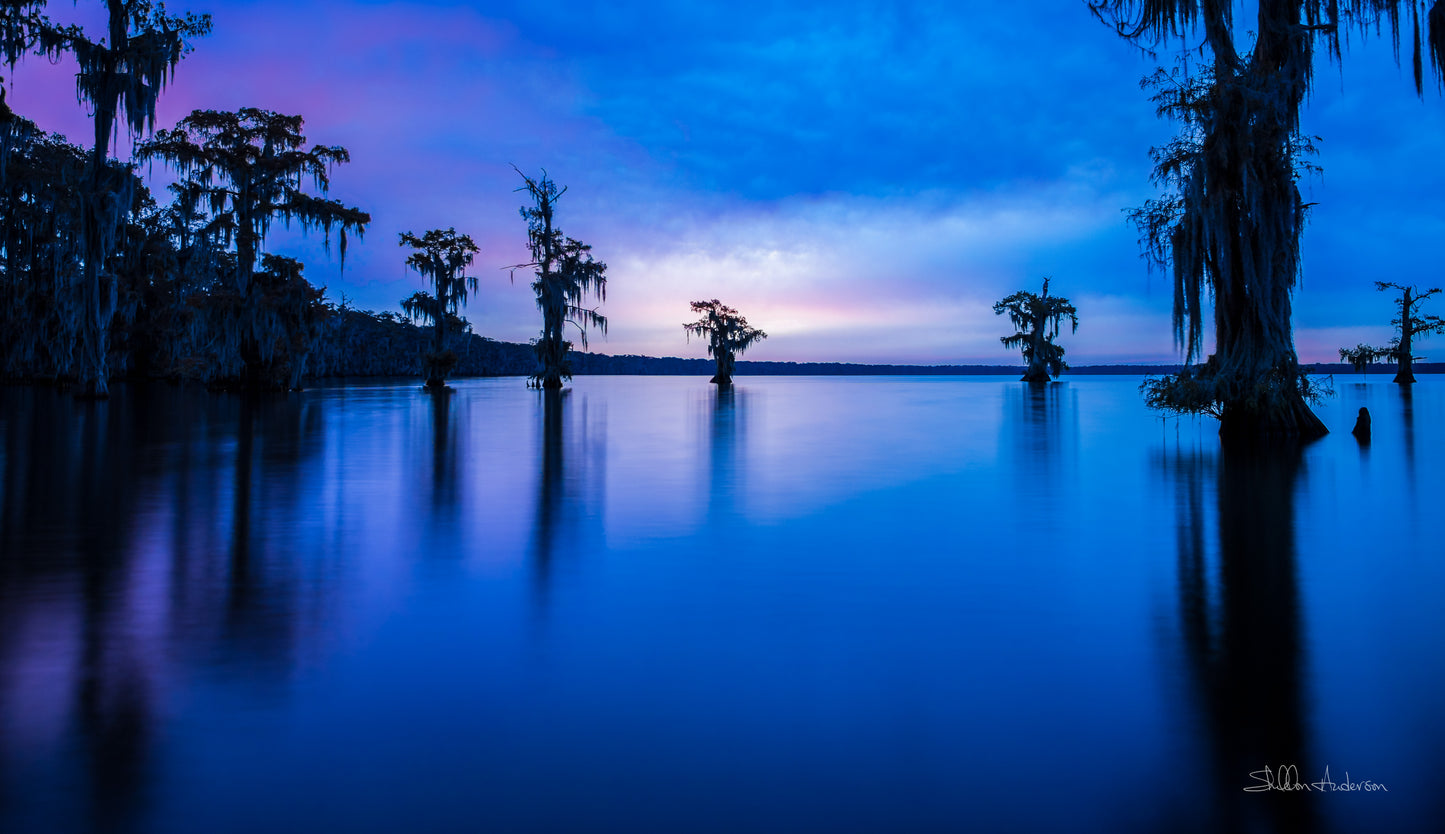 The Blue Hour, D81-8421