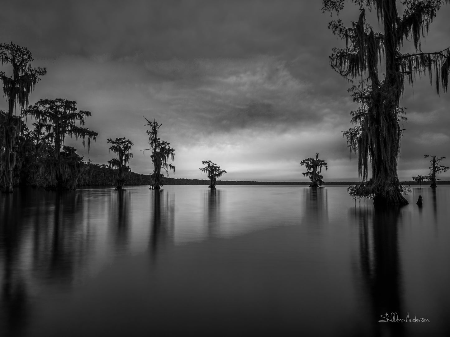 The Blue Hour B&W, D81-8421BW