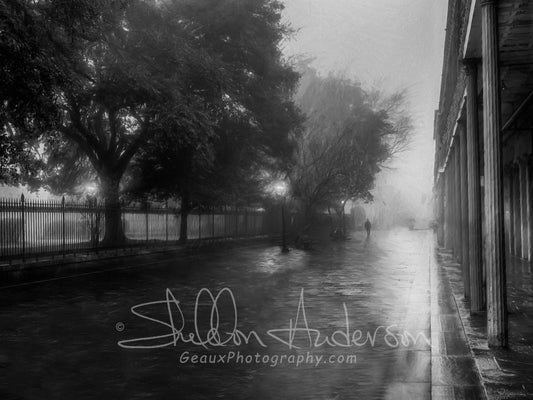 Into the Fog, 816-4665 B&W