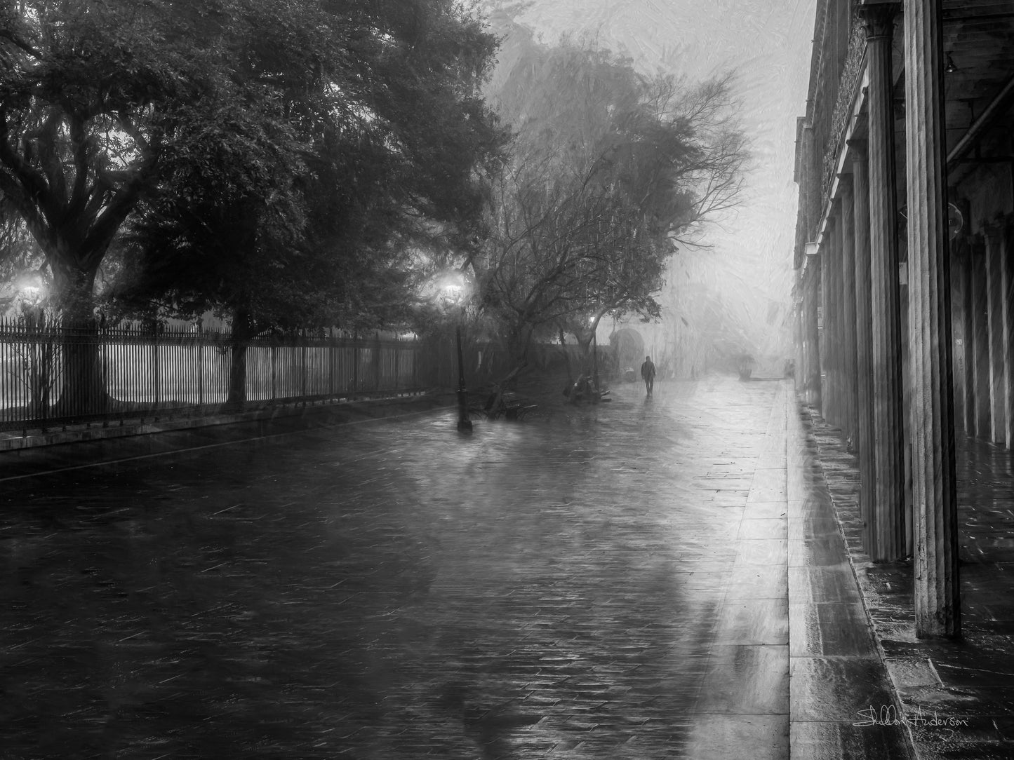 Into the Fog, 816-4665 B&W