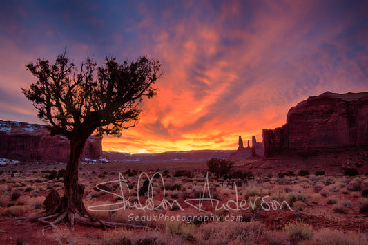 Monument Valley, 816-5880