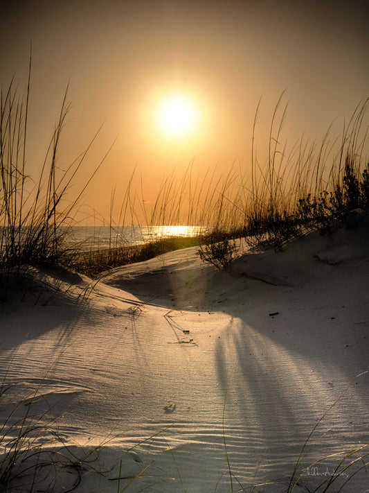 Dune Sunset, 816_7566