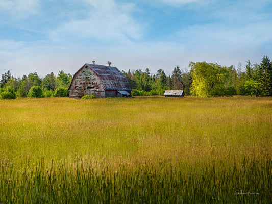 Old Barn, 817-0468