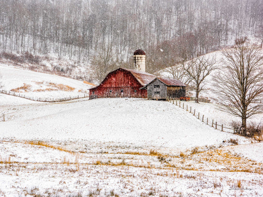 This Ole Red Barn, 817-0866