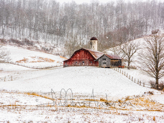 This Ole Red Barn, 817-0866