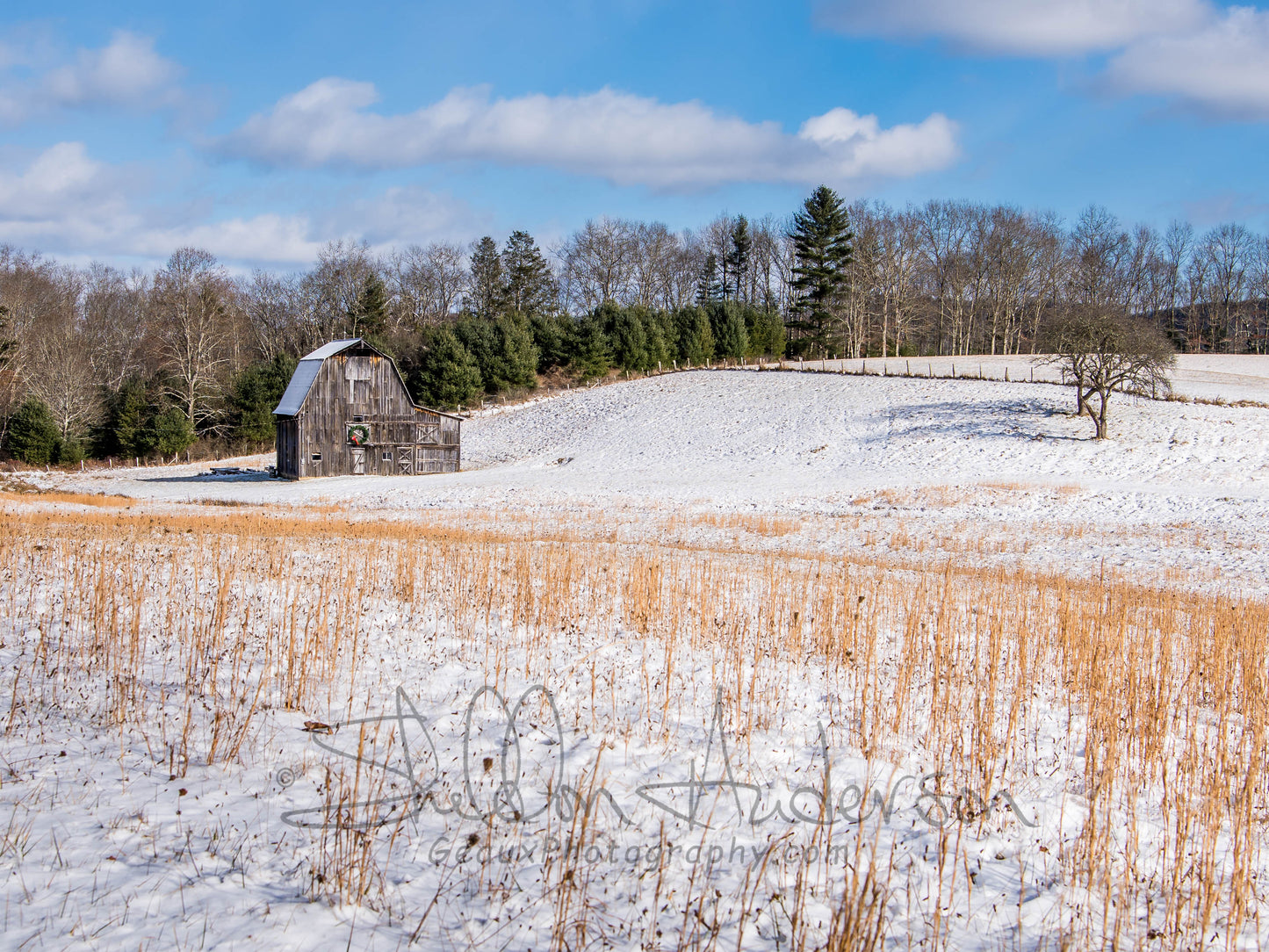 Old Barn, 817-0974