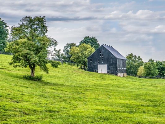 Old Barn, 817-1088