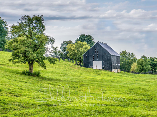 Old Barn, 817-1088