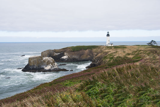 Northwest Lighthouse, 817-4036