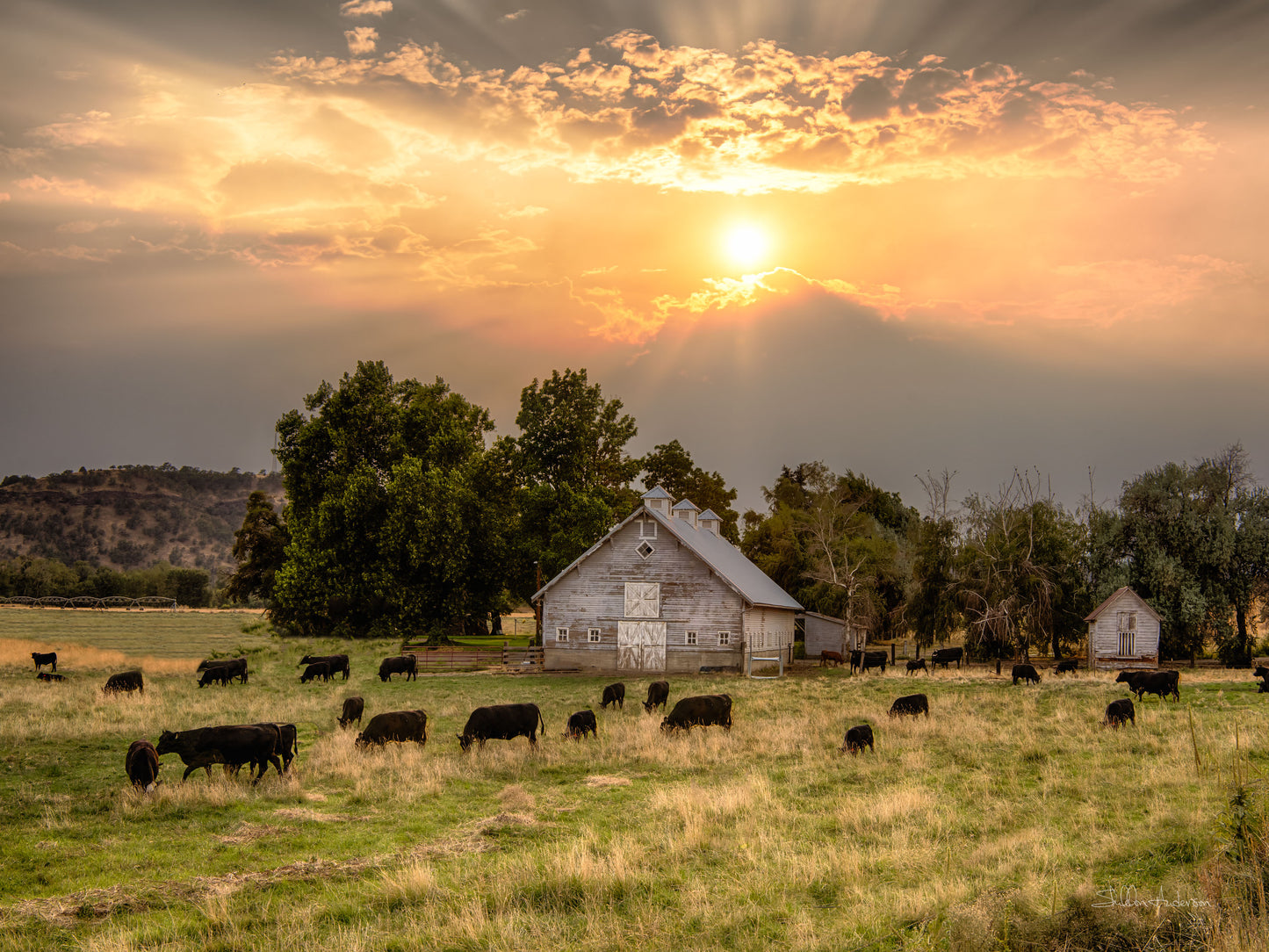 Northwestern Barn, 817-6687