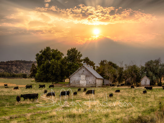 Northwestern Barn, 817-6687