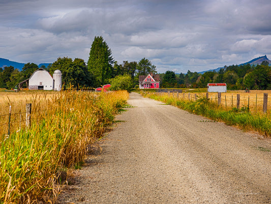 Country Road, 817-7027