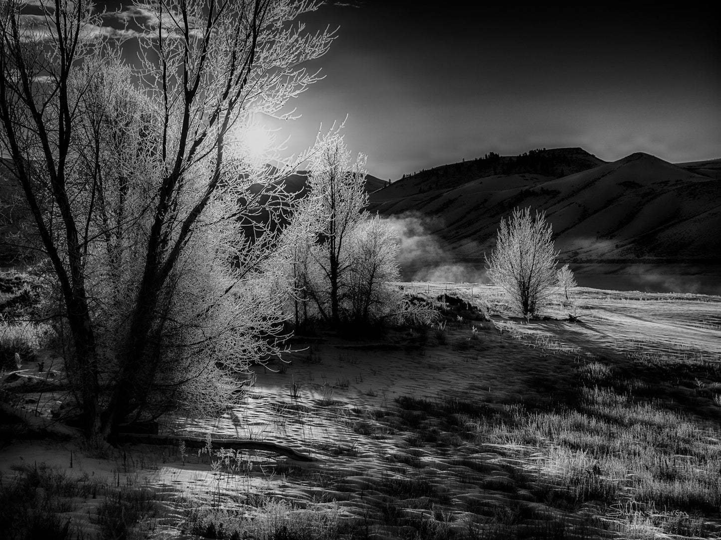 Frosty Morning B&W, 818-8278