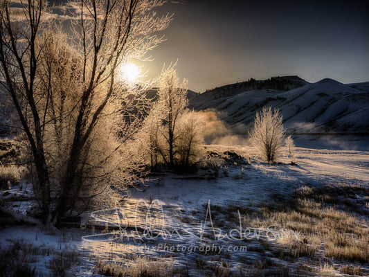 Frosty Morning, 818-8278