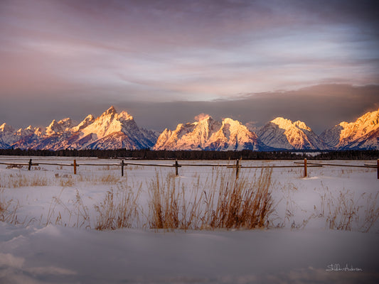 Grand Tetons, 818-9449