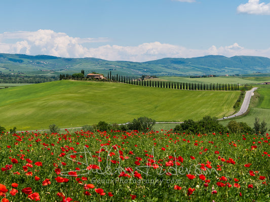 Tuscany, 823-4969