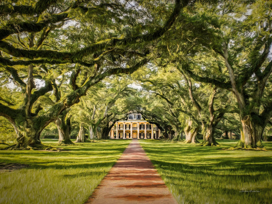 Oak Alley, D80-0250
