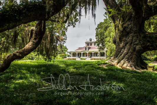 Joseph Jefferson Plantation, D80-0697
