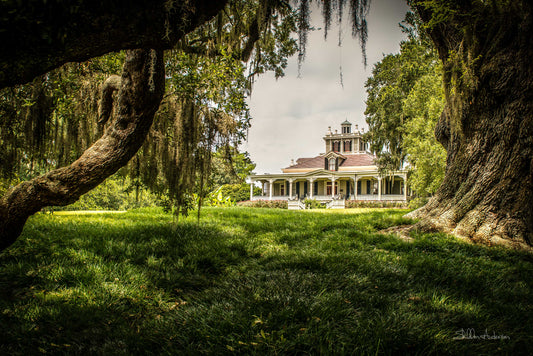 Joseph Jefferson Plantation, D80-0697