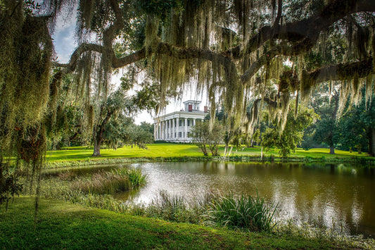 Magnolia Plantation, D80-1562
