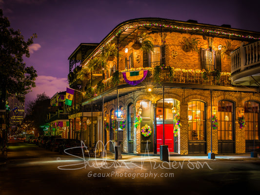 Dressed for Mardi Gras, D80-2691