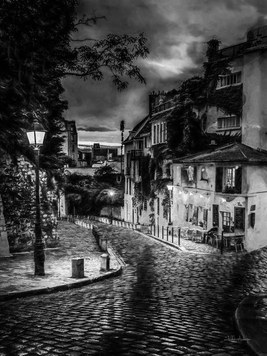 Martmartre, Paris B&W  D80-2849