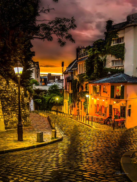 Mantmartre, Paris D80-2848