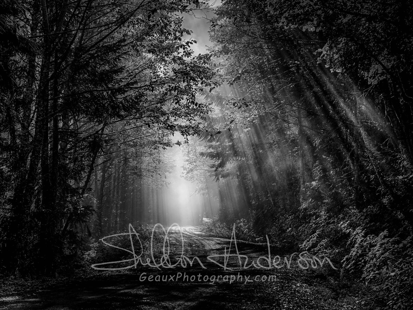 Moment in Time B&W, B80-3203