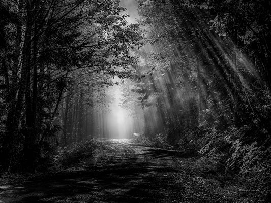 Moment in Time B&W, B80-3203