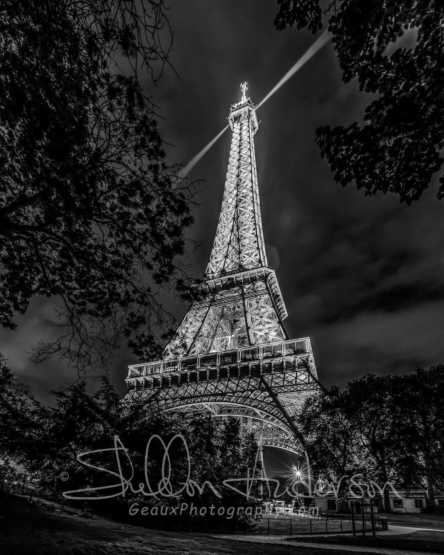 Eifel Tower B&W D80-5099