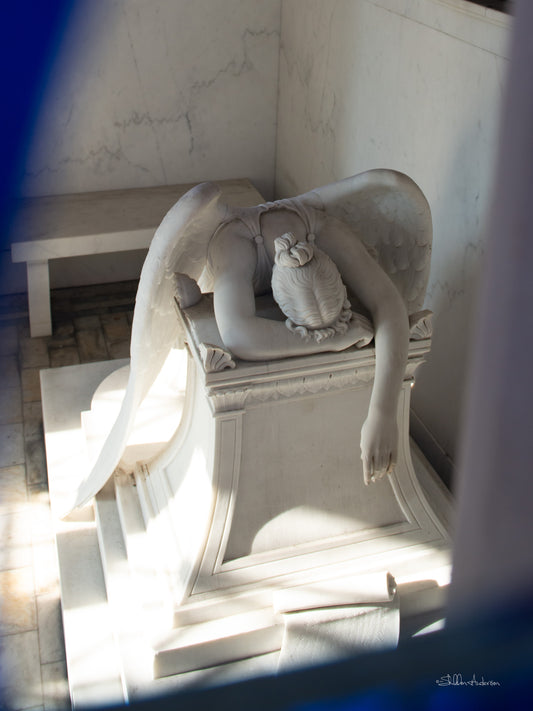 Weeping Angel, D80-5171