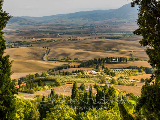 Tuscan Valley, D81-1664