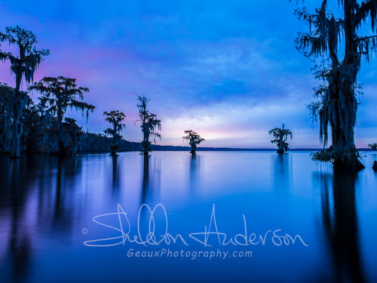 The Blue Hour, D81-8421