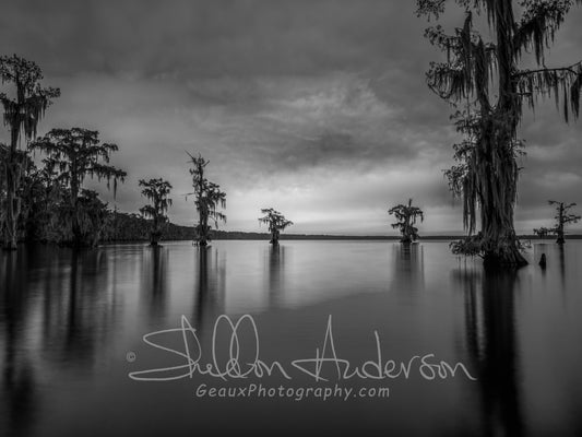 The Blue Hour B&W, D81-8421BW