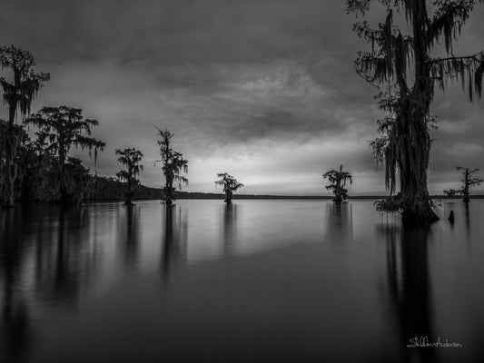 The Blue Hour B&W, D81-8421BW