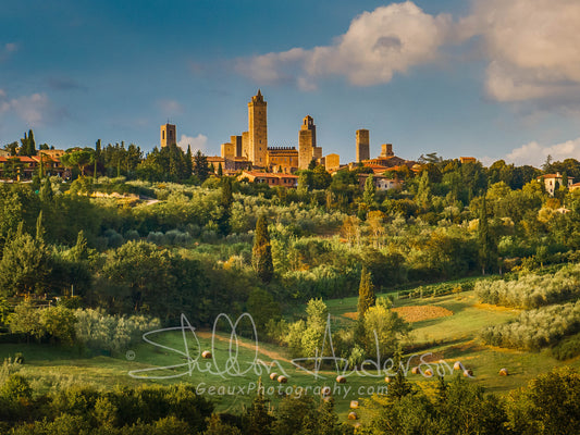 San Gimignano, D81-9966