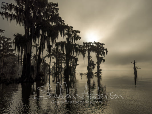 Early Morning, IMG-0496